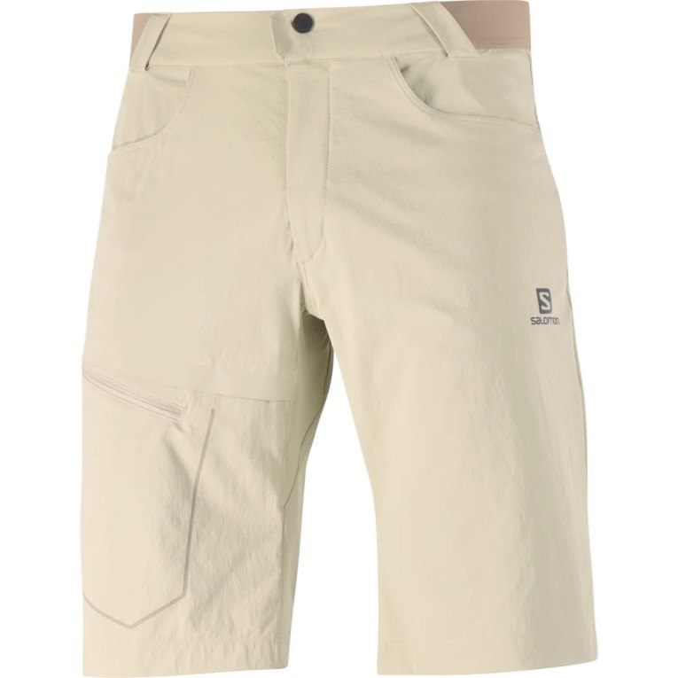 Calções Salomon Wayfarer Masculino Caqui | PT W73192